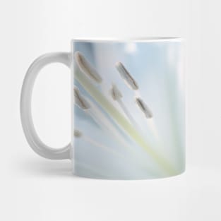 Lilium Flower Petal Nature Serene Calm Mug